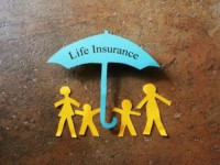 Life Insurance CPA TAX Employees
